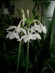     
: S4024268.jpg
: 15
:	55.1 
ID:	2209647