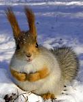     
: 1183419408_026_pics.jpg
: 15
:	34.1 
ID:	2212907