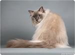     
: IMG_4803.jpg
: 16
:	36.7 
ID:	2214881