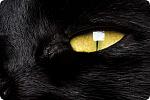     
: 5383978854_d508960880.jpg
: 5
:	62.2 
ID:	2214899