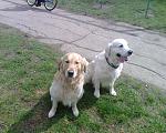     
: IMG0110A.jpg
: 26
:	200.9 
ID:	2214972