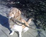     
: IMG0098A.jpg
: 23
:	268.3 
ID:	2214973