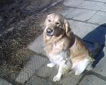     
: IMG0094A.jpg
: 41
:	294.0 
ID:	2214974