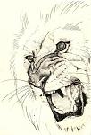     
: med_gallery_3610_229_2117.jpg
: 9
:	39.1 
ID:	2216156