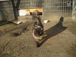     
: IMG_7974.jpg
: 161
:	235.5 
ID:	2218655