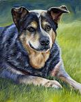     
: 1011_Blue.jpg
: 21
:	226.5 
ID:	2222488