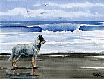     
: australiancattledogbeach.jpg
: 23
:	44.9 
ID:	2222490