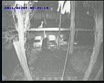     
: 20110209-053514-01.JPG
: 27
:	43.3 
ID:	2227541