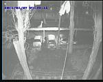     
: 20110209-053511-00.JPG
: 25
:	42.7 
ID:	2227543