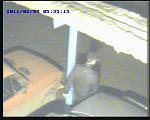     
: 20110209-053515-00.JPG
: 28
:	48.7 
ID:	2227544