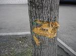     
: DSC05410.jpg
: 111
:	100.9 
ID:	2229938