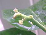     
: Фото129.jpg
: 147
:	84.0 
ID:	2230746