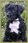     
: 362b2cb3afb5.jpg
: 29
:	56.7 
ID:	2236122