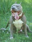     
: DSC07666.jpg
: 73
:	108.7 
ID:	2241374