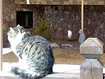     
: 13022011154.jpg
: 141
:	148.7 
ID:	2242542