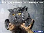     
: 70c0e3c8cd94.jpg
: 26
:	46.0 
ID:	2244174
