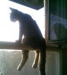     
: 1262603775_s3img_37744038_42504_1.jpg
: 22
:	20.7 
ID:	2244619