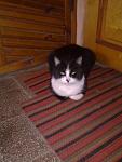     
: Фото0033.jpg
: 120
:	76.5 
ID:	2247016