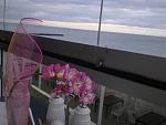     
: 12022011394.jpg
: 197
:	229.9 
ID:	2251159