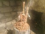     
: kc_rename.-0019 (1).jpg
: 72
:	156.4 
ID:	2252428