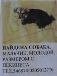     
: dog.jpg
: 43
:	71.3 
ID:	2252795