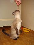     
: DSC04363.JPG
: 33
:	159.2 
ID:	2260772