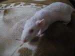     
: IMG_5407.jpg
: 20
:	85.8 
ID:	2264988