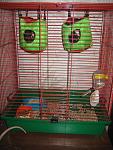     
: IMG_5397.jpg
: 22
:	149.1 
ID:	2264999