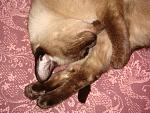     
: DSC04416.JPG
: 14
:	226.4 
ID:	2267862