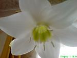     
: DSC00384.jpg
: 7
:	54.0 
ID:	2268299