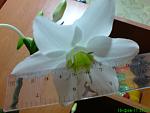     
: DSC00399.jpg
: 19
:	75.3 
ID:	2268300
