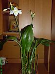     
: ( 0)DSC00387.jpg
: 20
:	86.5 
ID:	2268306