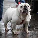     
: eef759f77a61.jpg
: 29
:	68.7 
ID:	2268505