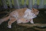    
: SAM_2238.jpg
: 40
:	94.5 
ID:	2269118