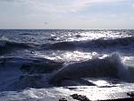     
: 19022011208.jpg
: 40
:	115.1 
ID:	2271699
