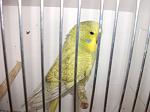     
: DSCF1207.jpg
: 70
:	69.2 
ID:	2271969