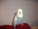    
: DSCF1210.jpg
: 71
:	50.8 
ID:	2271972