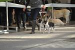     
: DSC_0003.jpg
: 34
:	275.9 
ID:	2273357