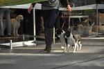     
: DSC_0004.jpg
: 32
:	287.6 
ID:	2273359