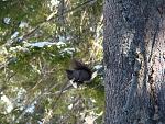     
: DSC01993.jpg
: 29
:	221.6 
ID:	2274008