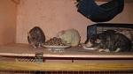     
: IMG_0986.jpg
: 35
:	32.0 
ID:	2276428