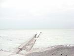     
: DSC07052.jpg
: 140
:	77.7 
ID:	2279526