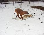     
: P2200039.jpg
: 25
:	120.3 
ID:	2279951