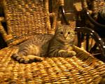     
: Фото-0057.jpg
: 52
:	289.3 
ID:	2281247