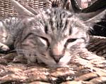     
: Фото-0061.jpg
: 49
:	226.6 
ID:	2281248