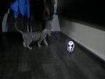     
: P190211_12.33_[03].jpg
: 112
:	135.3 
ID:	2281249