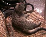     
: Фото-0051.jpg
: 55
:	224.5 
ID:	2281250