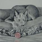     
: dusty bear and the ball5.jpg
: 11
:	22.6 
ID:	2284062