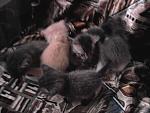     
: Фото0847.jpg
: 38
:	104.7 
ID:	2284427