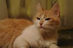     
: SAM_2232.jpg
: 15
:	56.2 
ID:	2285508